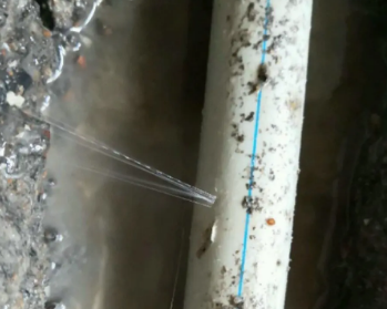 下城卫生间测漏水多少钱
