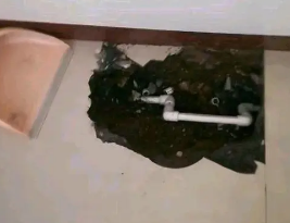 下城卫生间测漏水多少钱